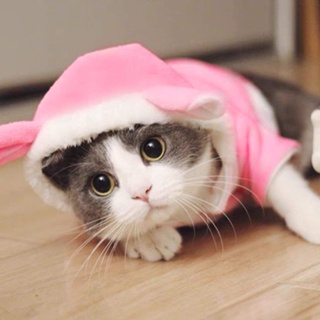 ฮู้ดดี้กระต่าย ชุดฮู้ดหมาแมว ชุดกระต่าย สีชมพู | Clawset.BKK