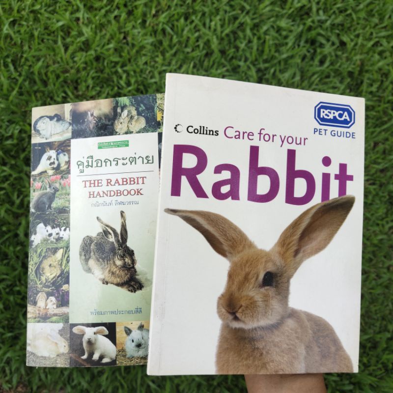 care for Rabbit(Eng) +แถม คู่มือกระต่าย The Rabbit Handbook(ไทย ...