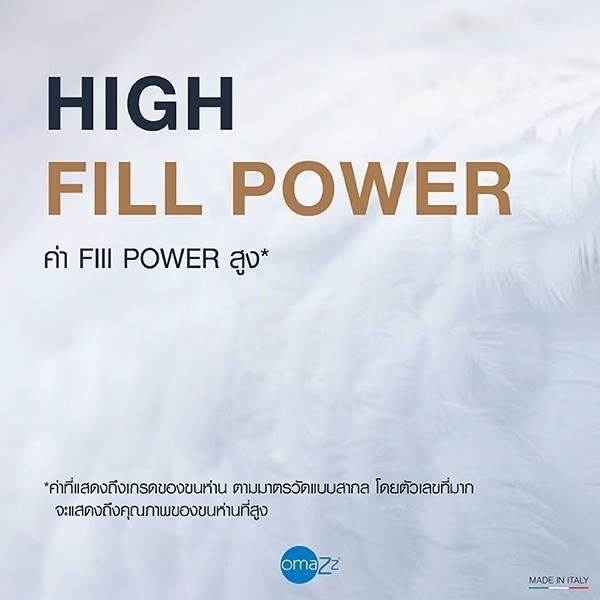 Omazz รุ่น โนเบิล ไวท์ ดาวน์ คอลเล็คชั่น (Solf) หมอนหนุนขนห่าน ไวท์ กูส ดาวน์ 100% น้ำหนัก 800 กรัม มอบสัมผัสแห่งการนอนที่นุ่มสบายและหรูหราเหนือระดับ