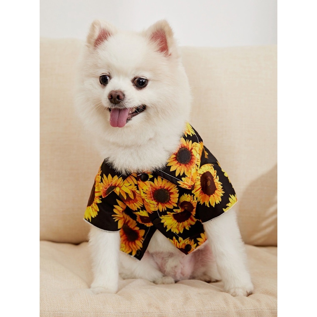 พร้อมส่ง-เสื้อหมา-เสื้อฮาวายหมา-เสื้อแมว-ลายดอก-ส่งจากร้านไทย-clawsetbkk-bp1766