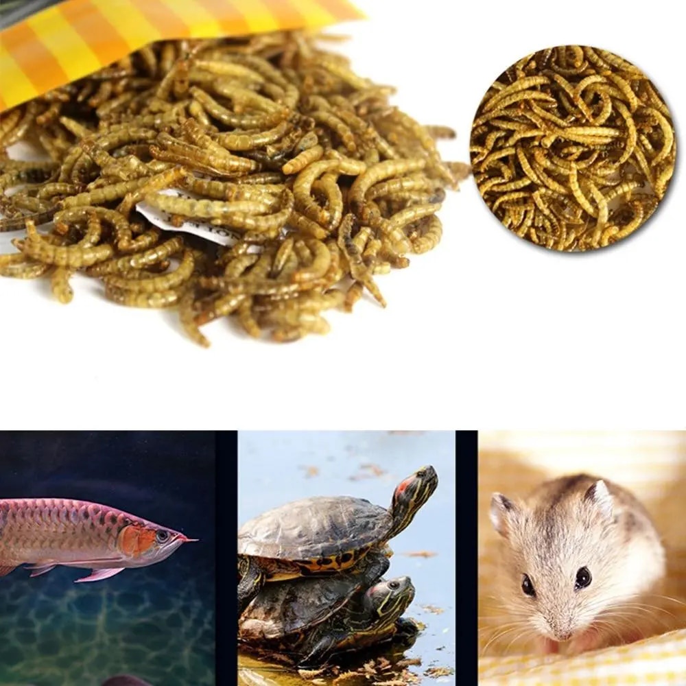 25Z 30g Turtle Food Feed Sticks Betta Fish Feeder Granules Dried Fish