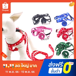 Pota Dog Cat Harness Collar Leash Fashion Bones Paws Print Safety Traction Rope