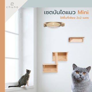Chuno กล่องแมวติดผนัง ชุดบันไดแมว เซตเล็ก Mini ครบทุกความสนุก ใช้พื้นที่น้อย