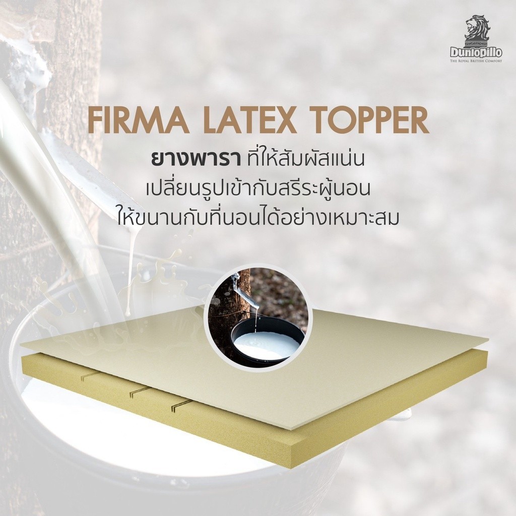 Dunlopillo รุ่น Majesta III ที่นอนยางพาราแท้ 100% ลดอาการปวดหลัง รองรับสรีระได้ดีเยี่ยม