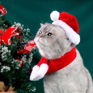 เซ็ทหมวก ผ้าพันคอ ซานต้าแซนตี้ ชุดเซ็ทหมาแมว |Clawset.bkk