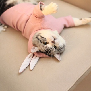 ฮู้ดดี้กระต่าย ชุดฮู้ดหมาแมว ฮู้ดชมพู เสื้อกันหนาวหมาแมว | Clawset.BKK