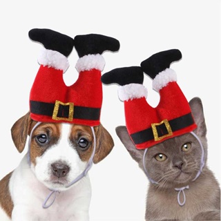 หมวกสายฮา วันคริสต์มาส หมวกหมาแมว สุดฮา | Clawset.bkk