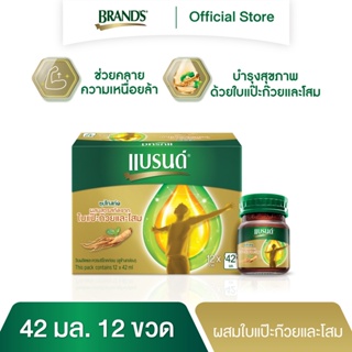 แบรนด์ซุปไก่สกัด ผสมสารสกัดจากใบแปะก๊วยและโสม 42 มล. x 12 ขวด