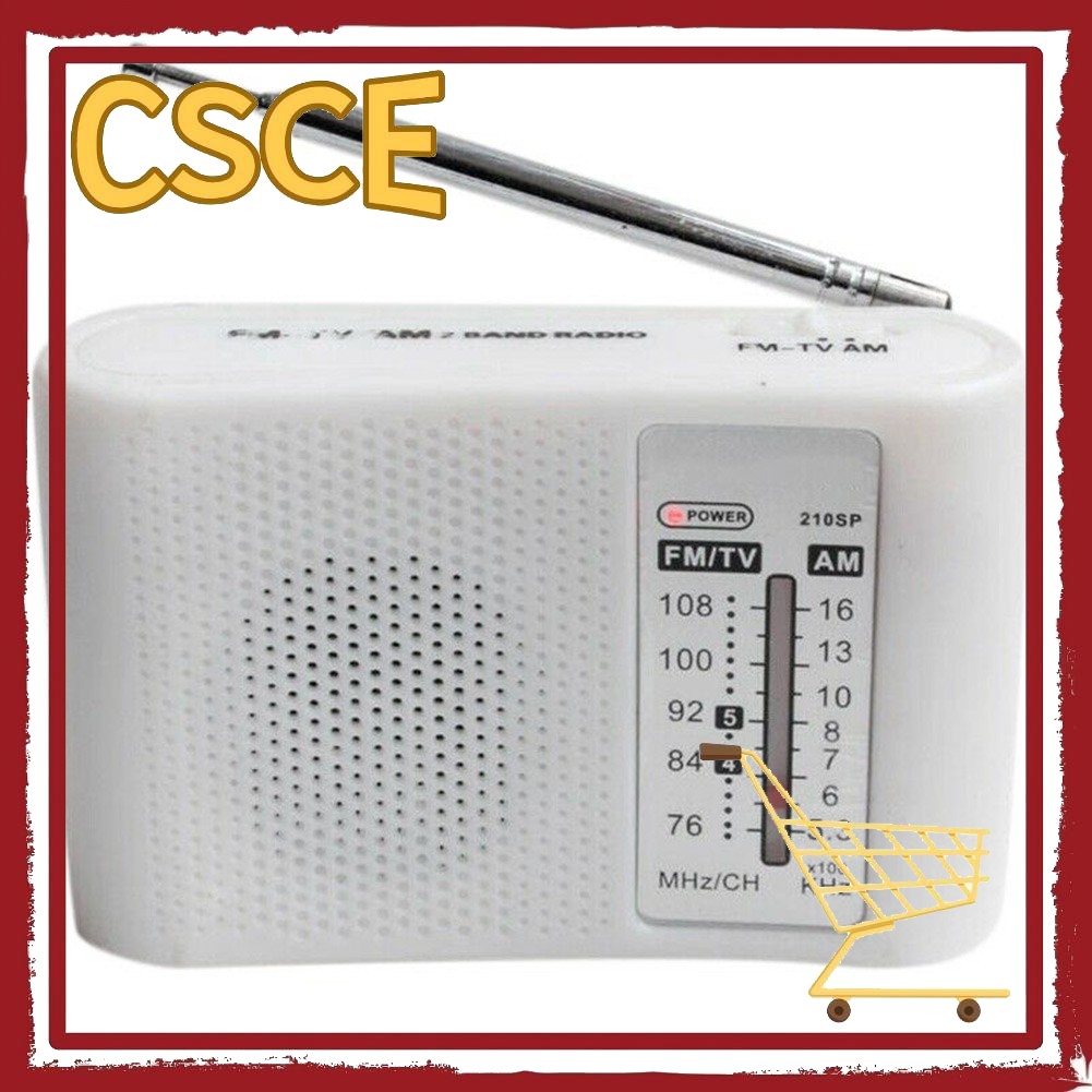 ซีอีซี... พร้อมส่ง CF210SP AM/FM วิทยุชุดอะไหล่ Learner Electronics ...