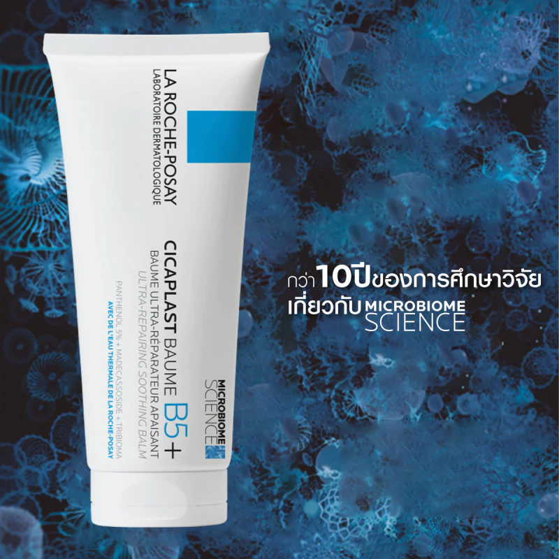 [เซตสุดคุ้ม] ลา โรช-โพเซย์ La Roche-Posay CICAPLAST BAUME B5+ บาล์มฟื้นบำรุงผิว 100ml x2 ชิ้น thumbnail 5
