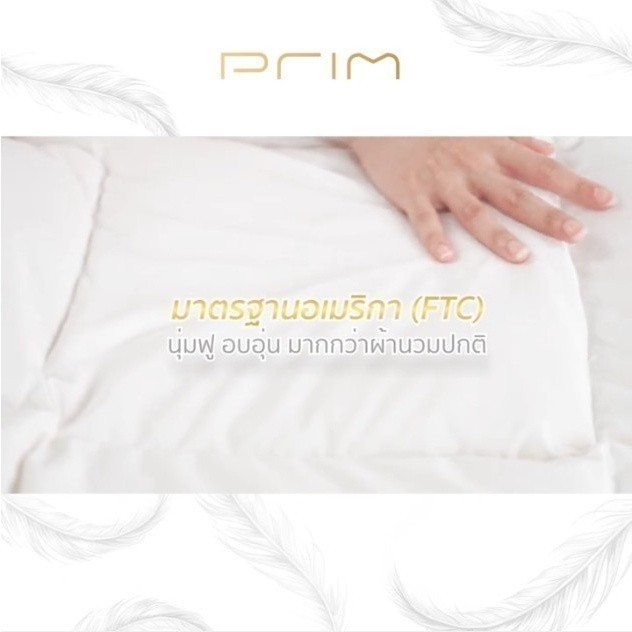PRIM รุ่น ไส้ผ้านวมขนเป็ดแท้ 100% ขนาด 60x90 นิ้ว และ 100x90 นิ้ว สีขาว มอบความอบอุ่น นุ่มสบาย ป้องกันไรฝุ่น เพื่อการนอนหลับที่เหนือกว่า