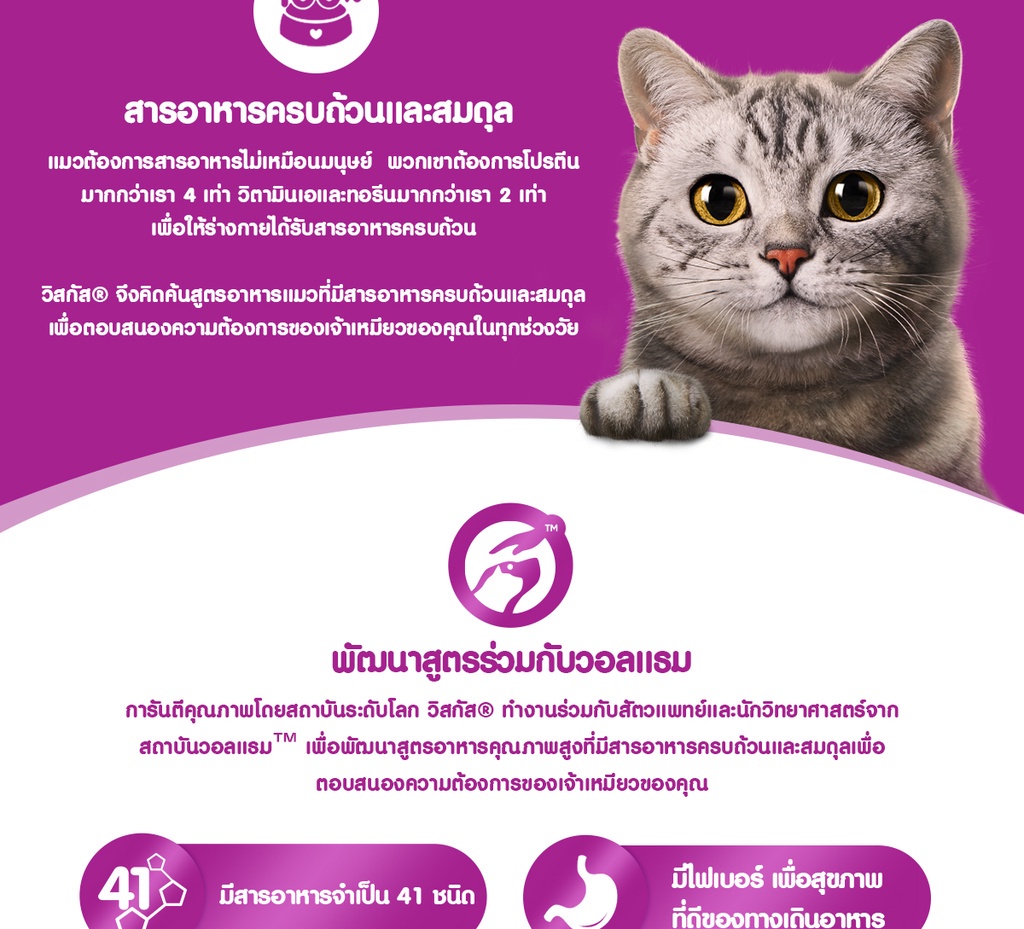 รูปภาพเพิ่มเติมเกี่ยวกับ WHISKAS วิสกัส อาหารแมว ชนิดแห้ง แบบเม็ด (แพ็ก 3), 1.1/ 1.2 กก.