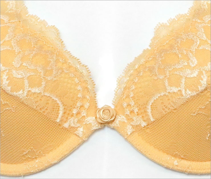 Annebra บราเสริมทรง ตะขอหลัง คอวี มีโครง เสริมฟองน้ำ Push up Mold bra V ...