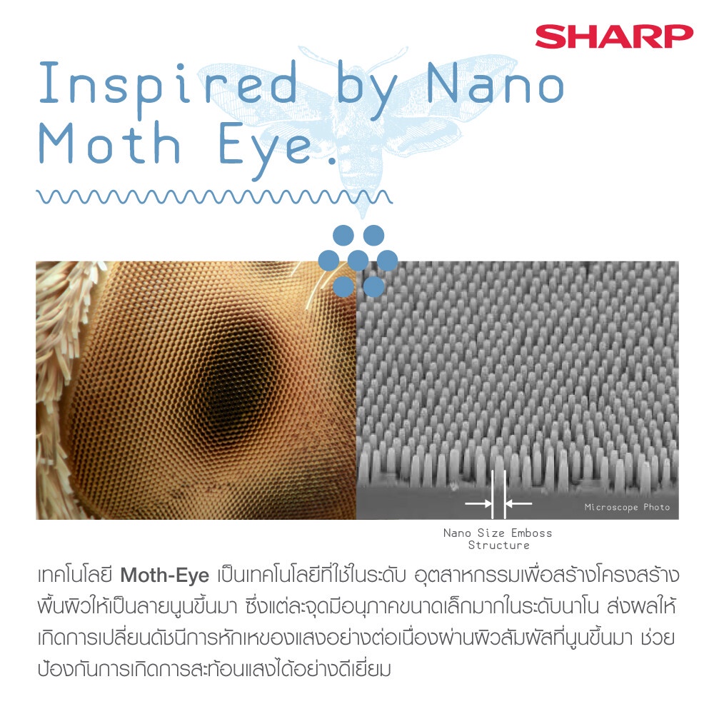 SHARP หน้ากากใสชนิดปกป้องทั้งใบหน้า Face Shield รุ่น FG-F10M | Shopee ...