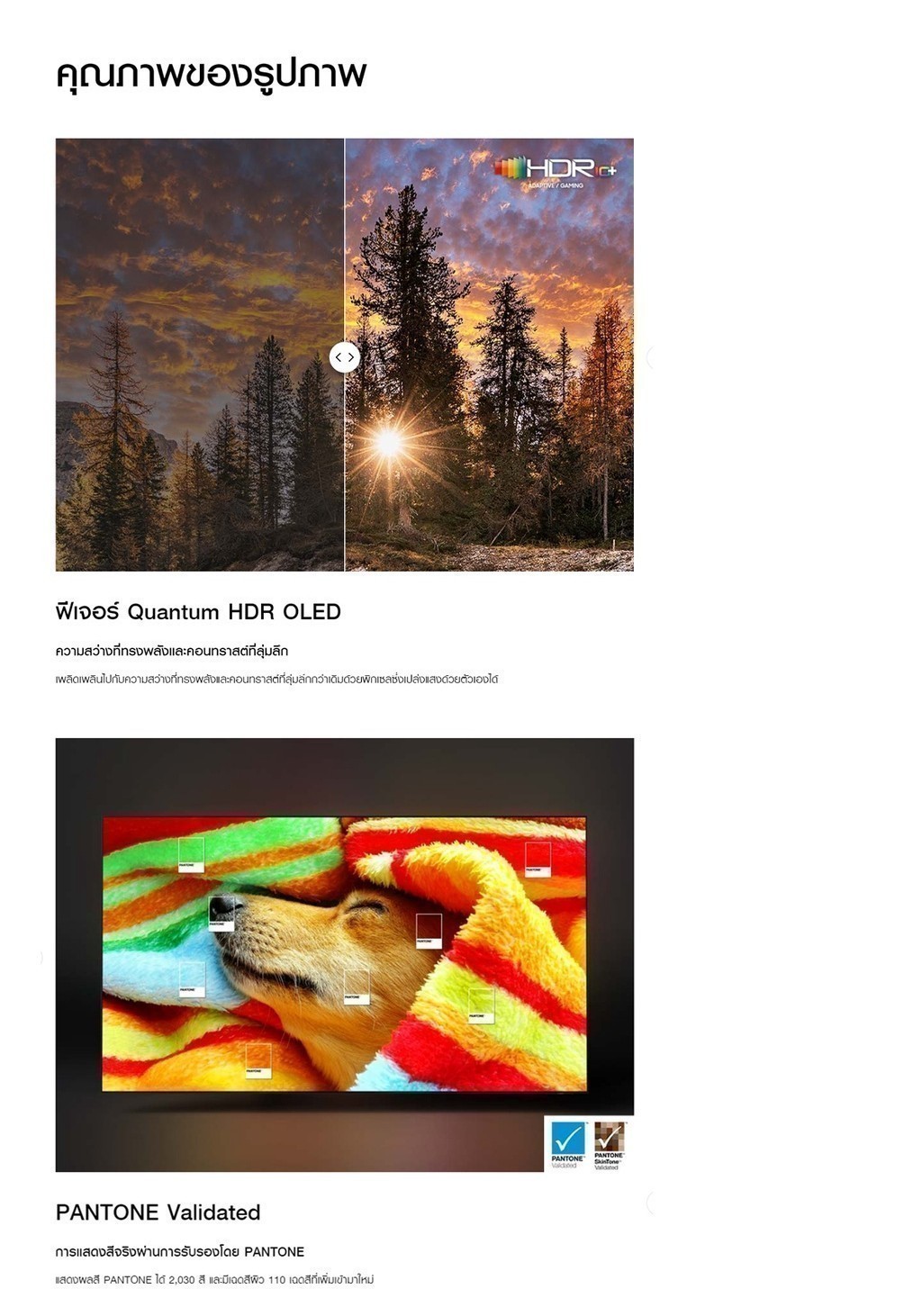 SAMSUNG TV OLED 4K (2023) Smart TV 65 นิ้ว S90C Series รุ่น QA65S90CAKXXT