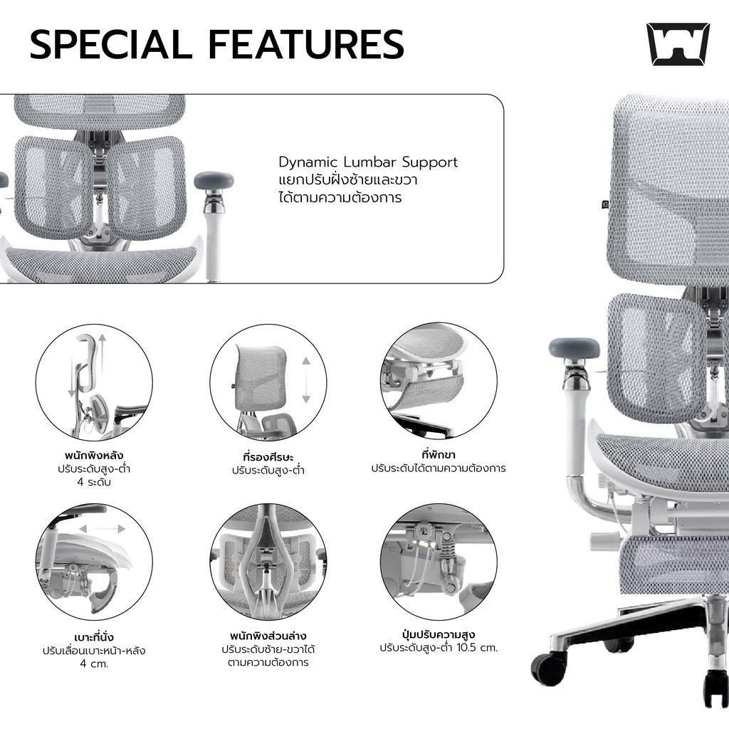 Work Station - Ergonomic chair เก้าอี้ทำงานเพื่อสุขภาพ รุ่น Model B นุ่มสบาย ตามหลักสรีระศาสตร์ รองรับน้ำหนักได้ถึง 150 kg. ลดอาการปวดเมื่อย ระบายอากาศดีเยี่ยม เกรดพรีเมี่ยม