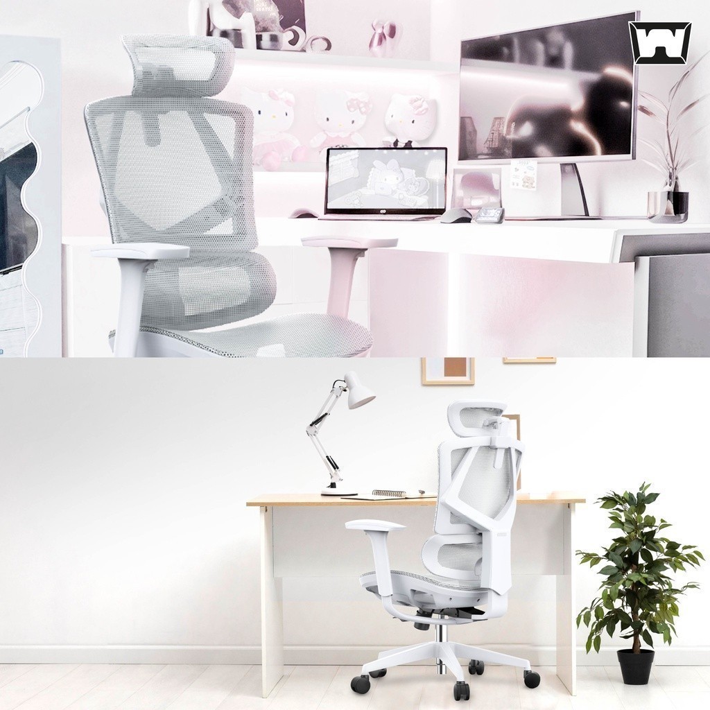 Work Station - Ergonomic chair เก้าอี้ทำงานเพื่อสุขภาพ รุ่น Model N เก้าอี้สีเทา นุ่มสบาย ตามหลักสรีระศาสตร์ ราคาดี ลดอาการปวดเมื่อย รองรับน้ำหนัก 110 kg.