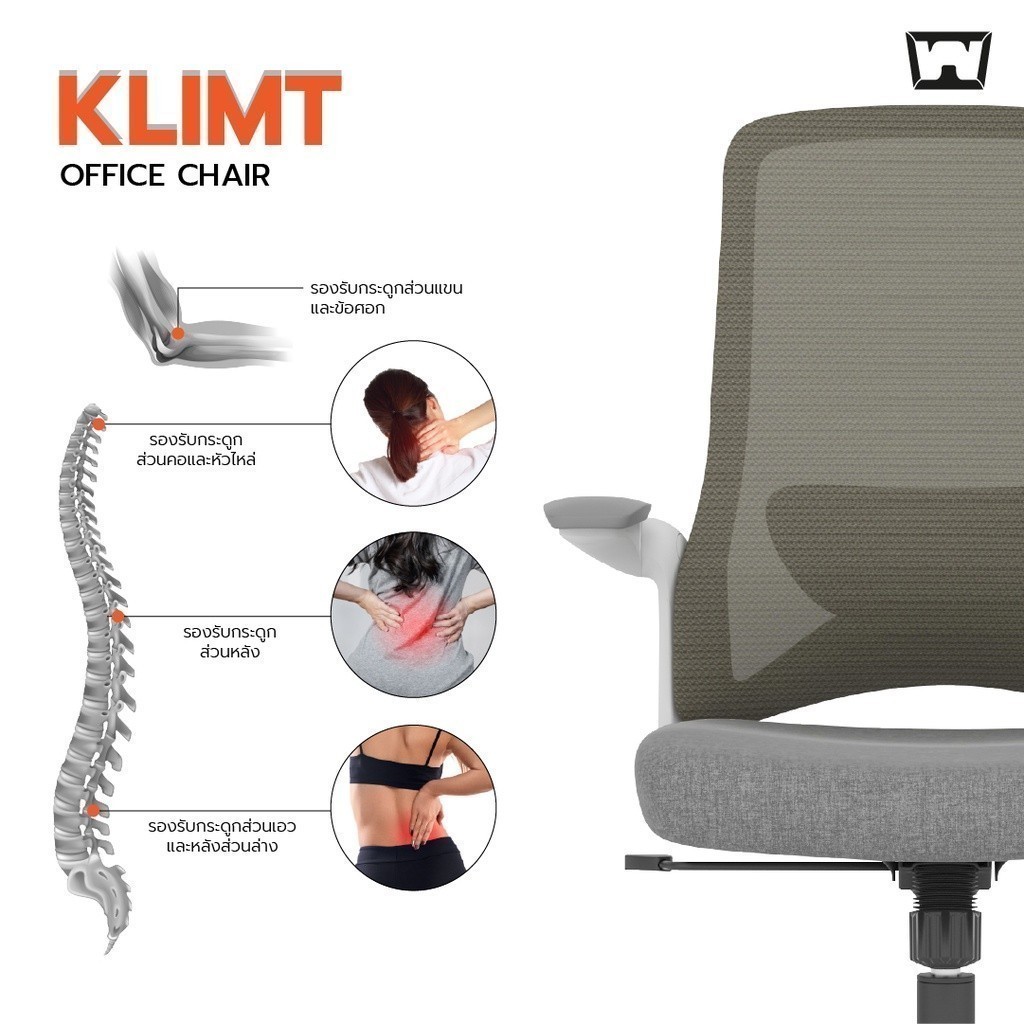 Work Station - Office chair เก้าอี้ทำงาน รุ่น Klimt เก้าอี้สำนักงาน เก้าอี้นั่งทำงาน เก้าอี้พนักพิงต่ำ เก้าอี้สีเทา เก้าอี้สีฟ้า เก้าอี้สีเขียว เก้าอี้สีชมพู ราคาดี รองรับน้ำหนัก 136 kg.