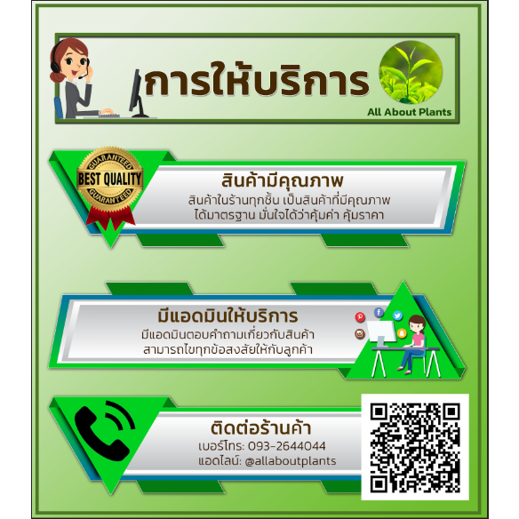 โฟลิอาร์ฟอส-1l-กรดฟอสโฟนิก-สารกำจัดเชื้อรา-โรครากเน่าโคนเน่า-โรคยอดเน่า-โรคต้นเน่า-โรคเส้นดำ-โรคเสี้ยนดำ-โรคพืช