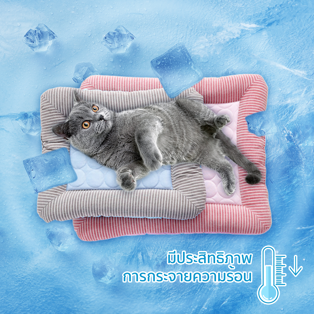 ภาพสินค้าPetcho ️ที่นอนสุนัข ที่นอนเย็น สำหรับตว์เลี้ยง ผ้าระบายความเย็น ที่นอนสัตว์เลี้ยง เบาะแมวเบาะสุนัข แผ่นลเย็นPet Cool mat จากร้าน petcho01 บน Shopee ภาพที่ 1