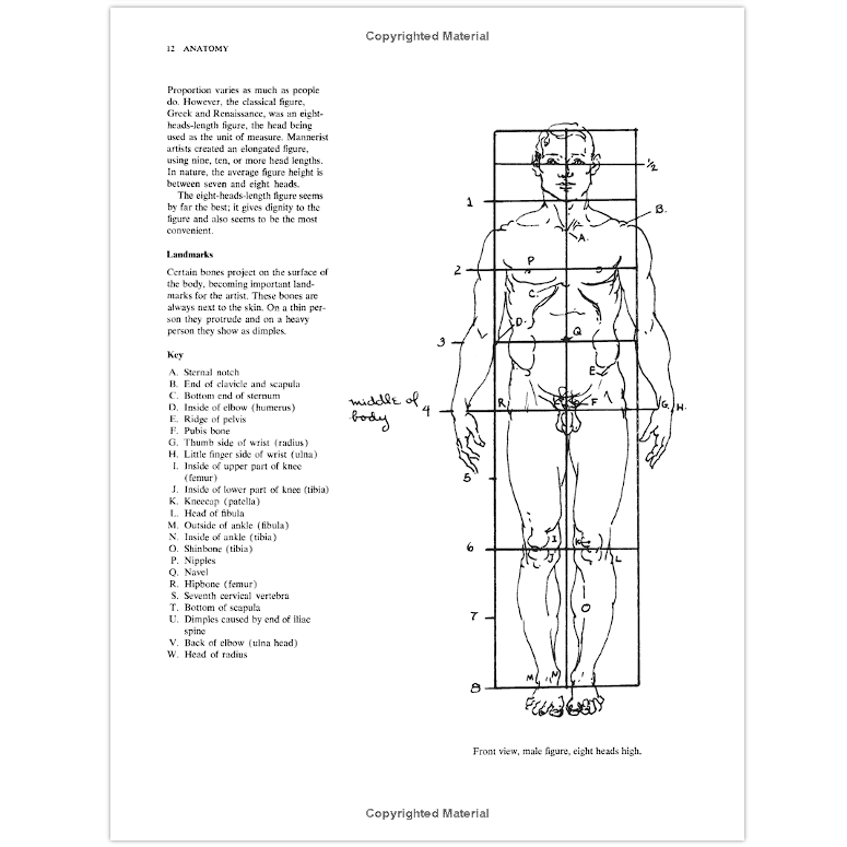 anatomy-a-complete-guide-for-artists-paperback-dover-anatomy-for-artists-english
