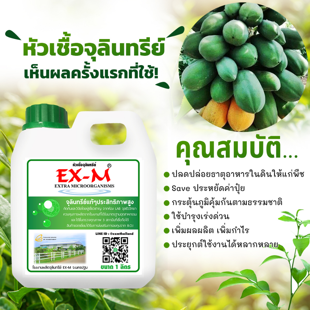 em-หัวเชื้อจุลินทรีย์-พืชผักหวานกรอบ-ปรับสภาพดิน-ปุ๋ยน้ำใส่ต้นไม้-ขนาด-5-ลิตร-ex-m-จุลินทรีย์ดีเพื่อสิ่่งแวดล้อม