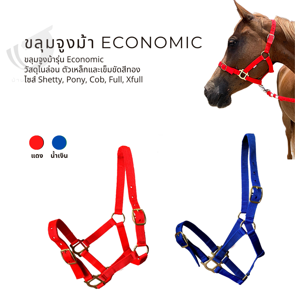 ขลุมม้า-รุ่น-economic