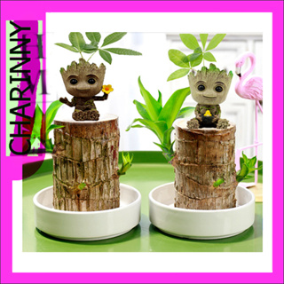 ตุ๊กตาฟิกเกอร์ Guardians Of The Galaxy Pot Shuren Groot เหมาะสำหรับเป็นของตกแต่ง