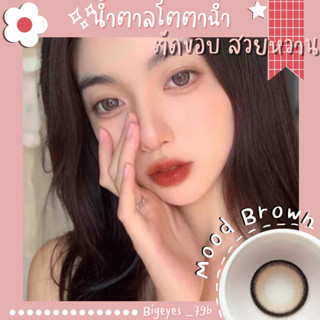 ✨ Brown ขนาดตาโต (Bigeyes)  สายตาปกติ สายตาสั้น ☀️กรองแสง uv เลนส์แท้จดทะเบียนถูกต้อง ผ่านอย.ไทย ✔️