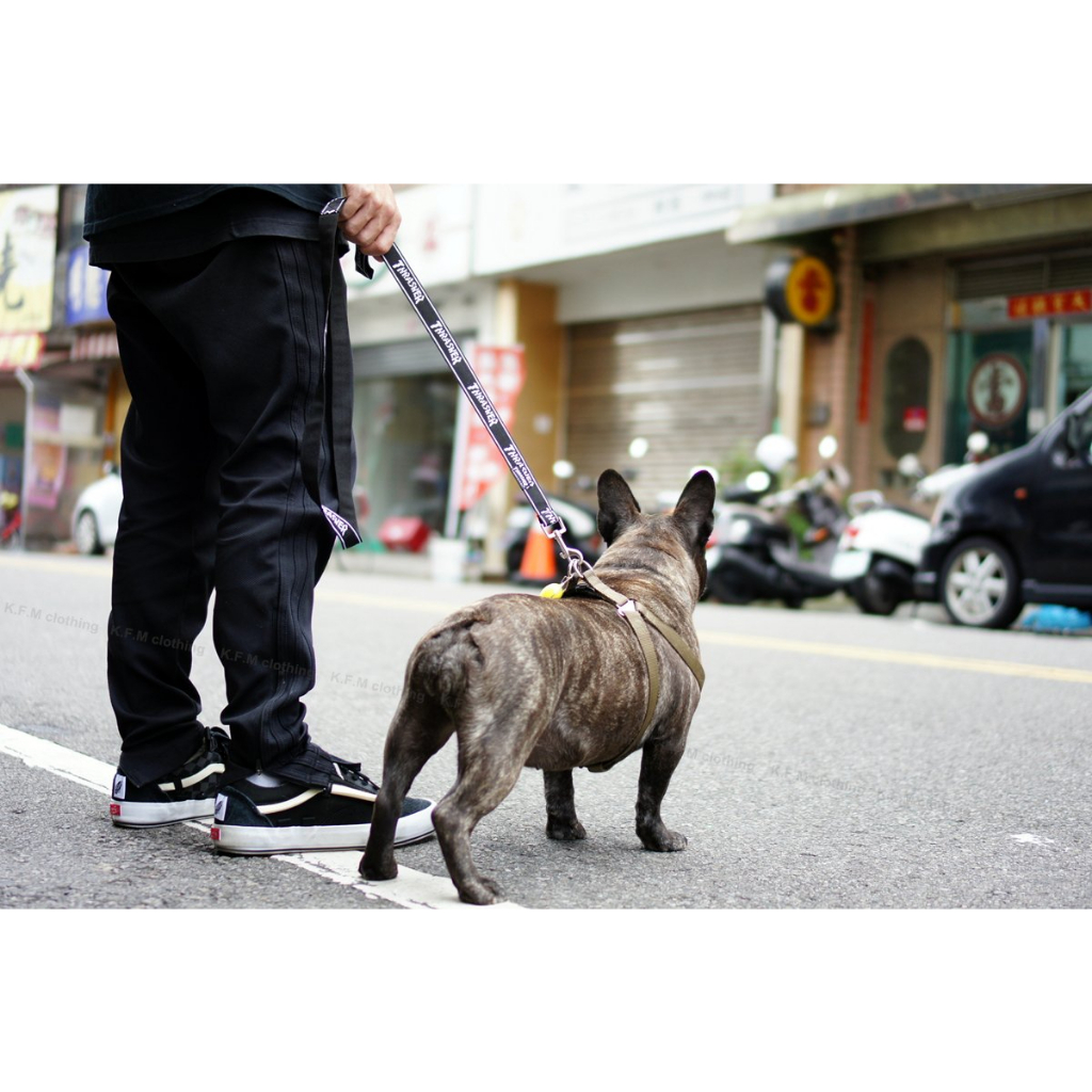 สายจูงสัตว์เลี้ยง-thrasher-hometown-dog-leash