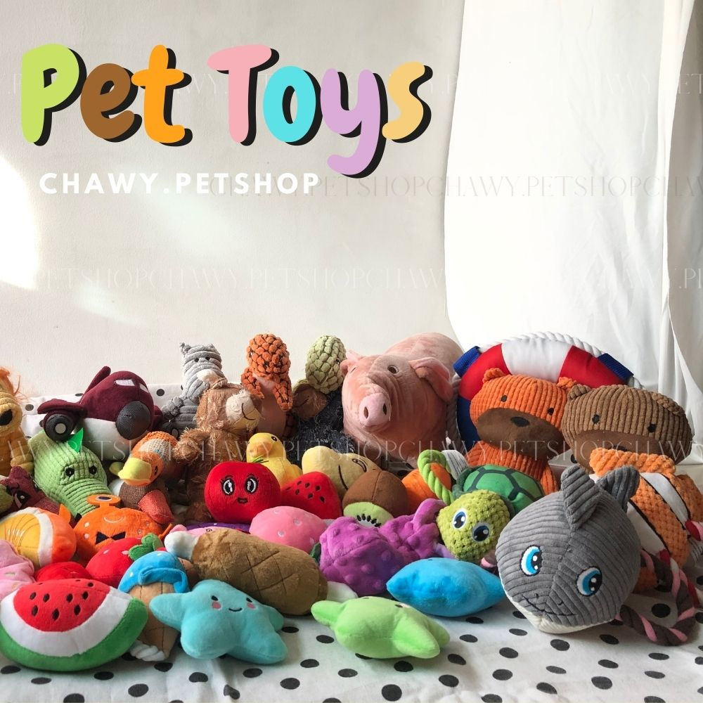 ภาพหน้าปกสินค้าของเล่นบี๊บๆ ของเล่นสุนัข ของเล่นหมา มีให้เลือกหลายแบบ ตุ๊กตาบี๊บ ของเล่นแมว จากร้าน chawy.petshop บน Shopee