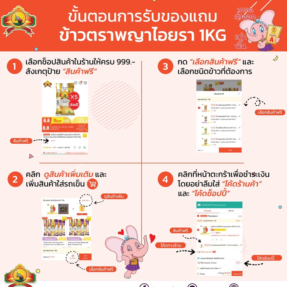 ภาพหน้าปกสินค้า(ซื้อในไลฟ์สด เหลือ108.-) (ส่งฟรี)(ใหม่อายุ2อาทิตย์) ข้าวเหนียวนาปี กข.6 (ปี67) 5KG คัดพิเศษ ( รหัส 053 ) จากร้าน phayaayara บน Shopee