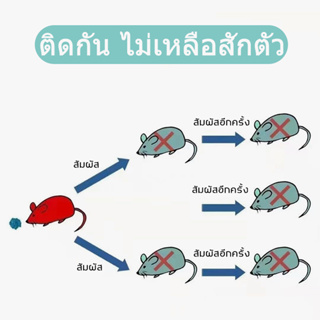 ภาพขนาดย่อของภาพหน้าปกสินค้าสินค้าใหม่รุ่นที่3 โดนแล้วตาย ตายในรัง ยาเบื่อหนูแรง แห้งตาย ยาฆ่าหนู เหยื่อกำจัดหนู ยาเบื่อหนูแห้ง ยากำจัดหนู จากร้าน aw_elsq2yl บน Shopee