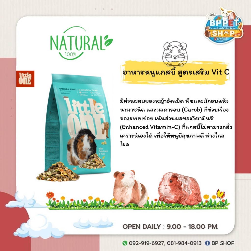 bp-pets-อาหารหนูแกสบี้-พรีเมียม-อาหารหนูเควี่-little-one-อาหารแกสบี้-อาหารสัตว์เล็ก