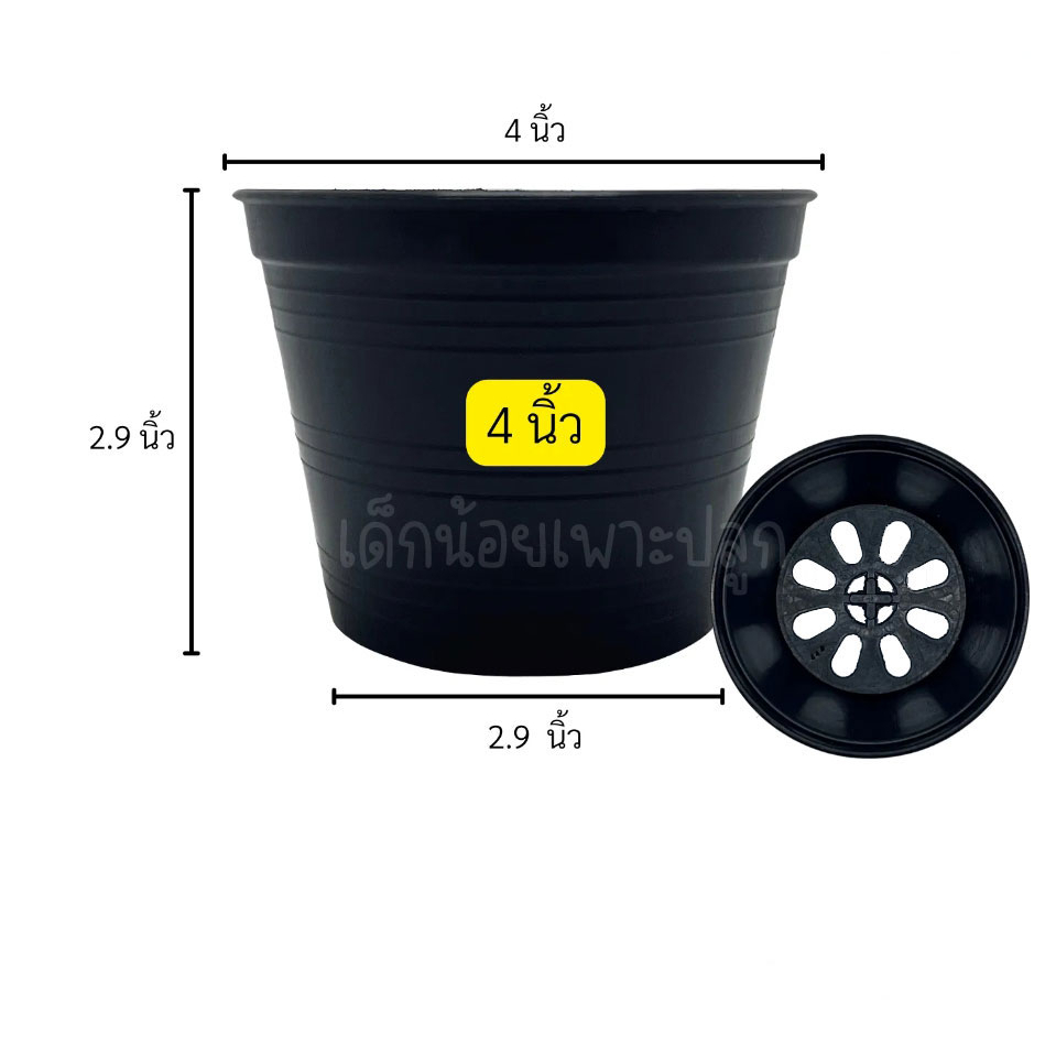 กระถางพลาสติก-4-สีดำ-กลม-แพ็ค-100-ใบ-ราคาโรงงาน