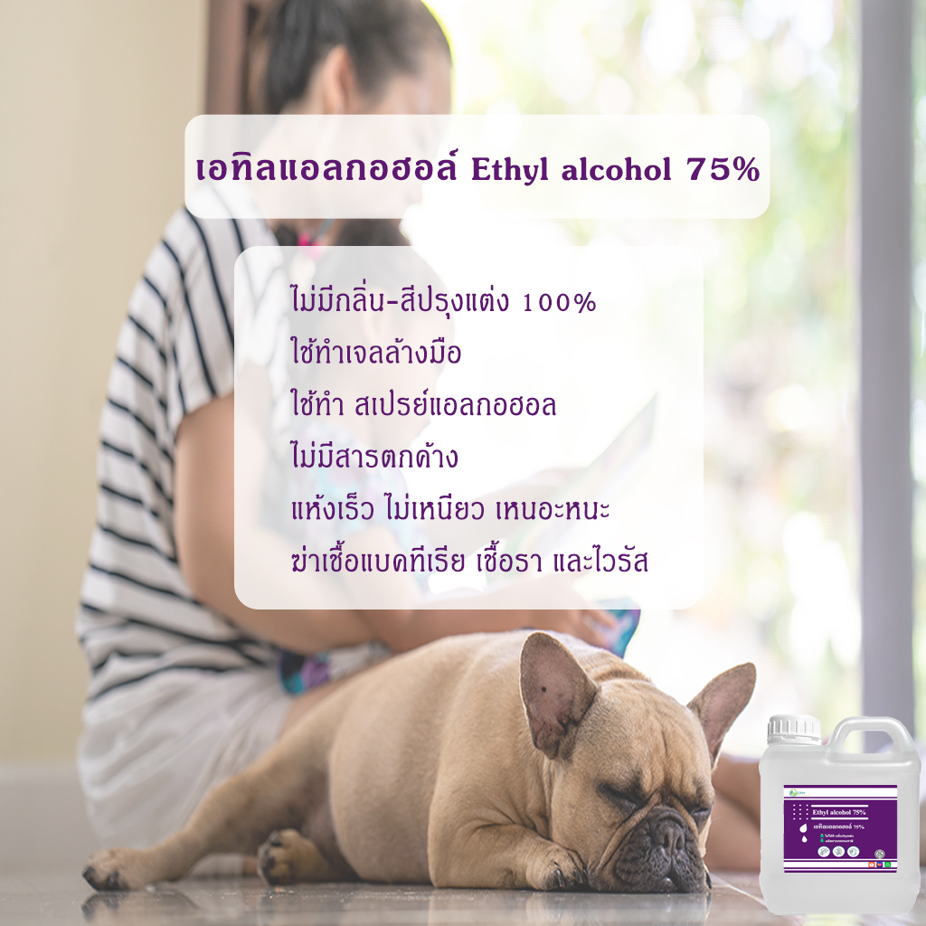 แอลกอฮอล์-75-เอทิลแอลกอฮอล์-เอทานอล-ethyl-alcohol-75-ethanol-1000ml