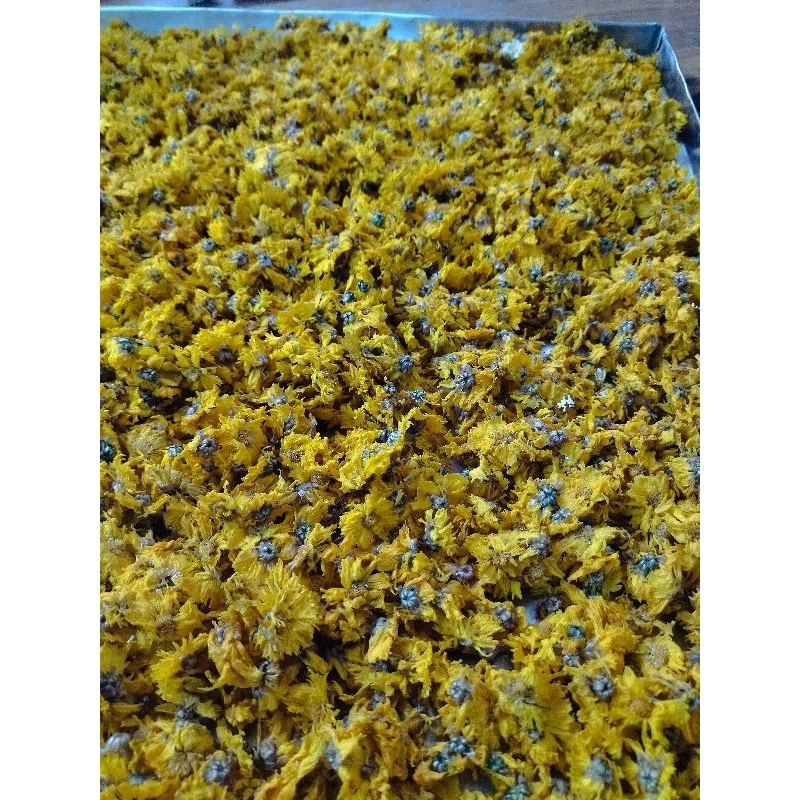 ภาพหน้าปกสินค้าดอกเก๊กฮวยเหลืองปลอดสาร100% อบแห้งด้วยวิธีธรรมชาติของใหม่กลิ่นหอม ไม่ค้างข้ามปี จากร้าน thantiprattanaphaiboonvit บน Shopee