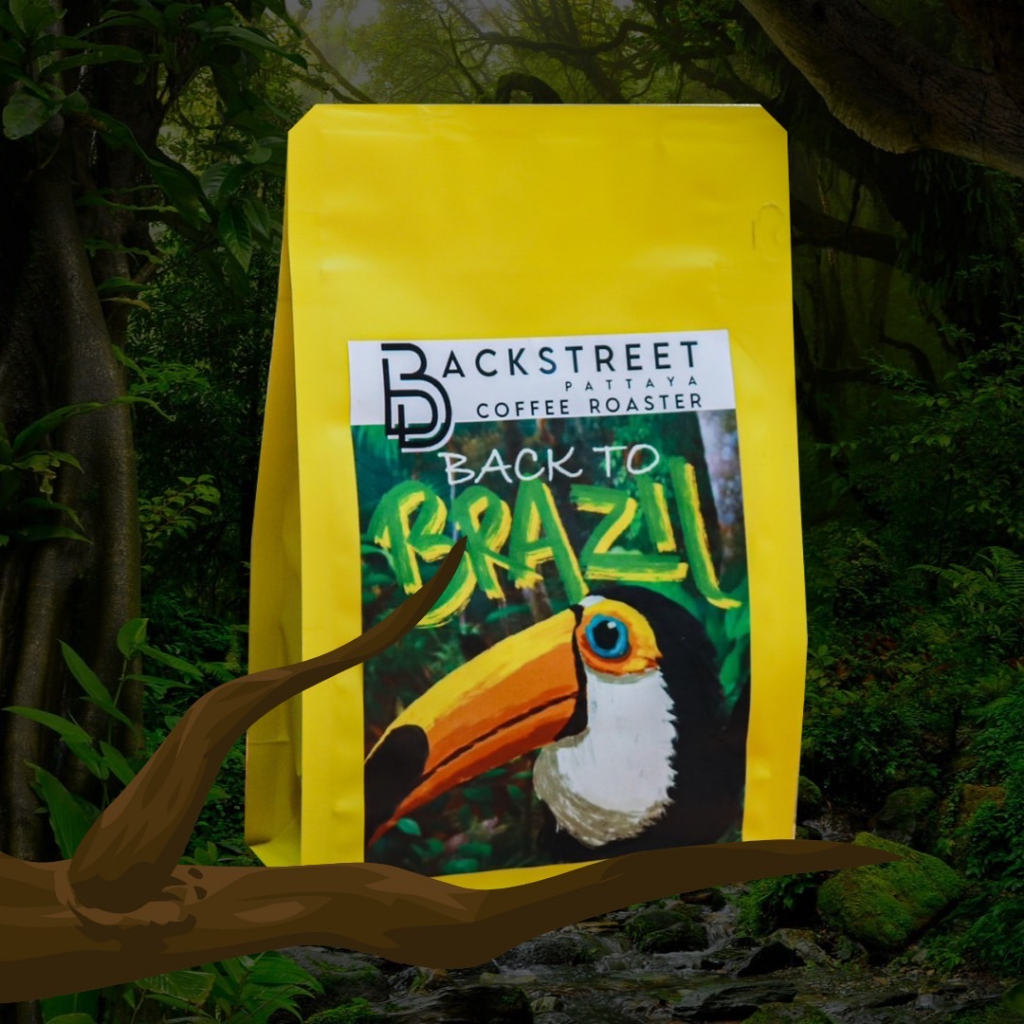 backstreet-house-blend-series-เมล็ดกาแฟ-back-to-brazil-brazil-blend