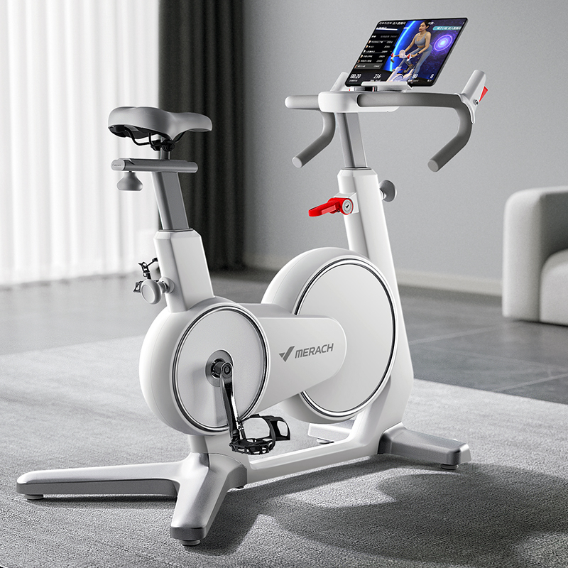 จักรยานสปินไบค์-merach-exercise-bike-mr-swan