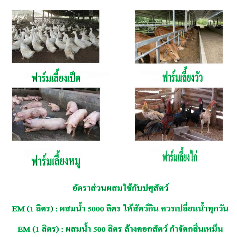 em-one-หัวเชื้อจุลินทรีย์อีเอ็ม-วัน-ขนาด-1-ลิตร-x-10-ขวด-หัวเชื้อจุลินทรีย์คุณภาพสูง