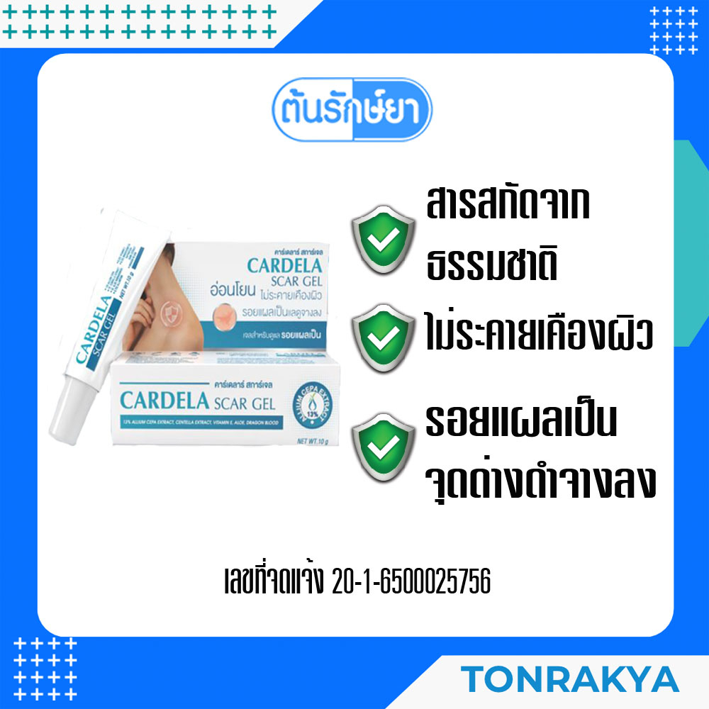 CARDELA SCAR GEL 10 G คาร์เดลาร์ สการ์เจล 10 กรัม ทารอยแผลเป็น ลดรอย ...