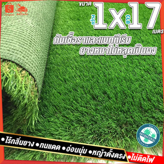 1x17เมตร = 17ตารางเมตร หญ้าใบสูง 2 ซมหญ้าเทียม หญ้าเทียมปูพื้น หญ้าเทียมยกม้วน หญ้าเทียมราคาถูก หญ้าเทียม