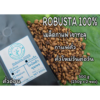 เมล็ดกาแฟคั่ว Robusta100% เขาทะลุ จ.ชุมพร 500g photo