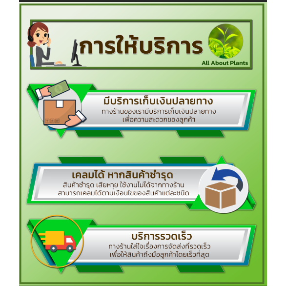 ไพโร-1l-ธาตุอาหารรอง-ธาตุอาหารเสริม-สังกะสี-กำมะถัน-ปรับสภาพอากาศ-แก้อาการใบแก้วใบลาย-พืชขาดธาตุสังกะสี