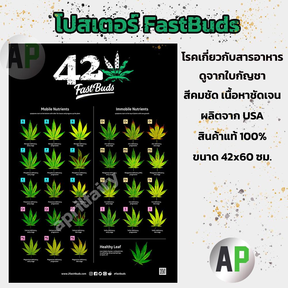 ภาพโปสเตอร์-fastbuds-เช็คสุขภาพ-2fast4buds-สีคมชัด-เนื้อหาชัดเจน-สินค้าแท้-100-ขนาด-42x60-ซม-สติ๊กเกอร์-sticker