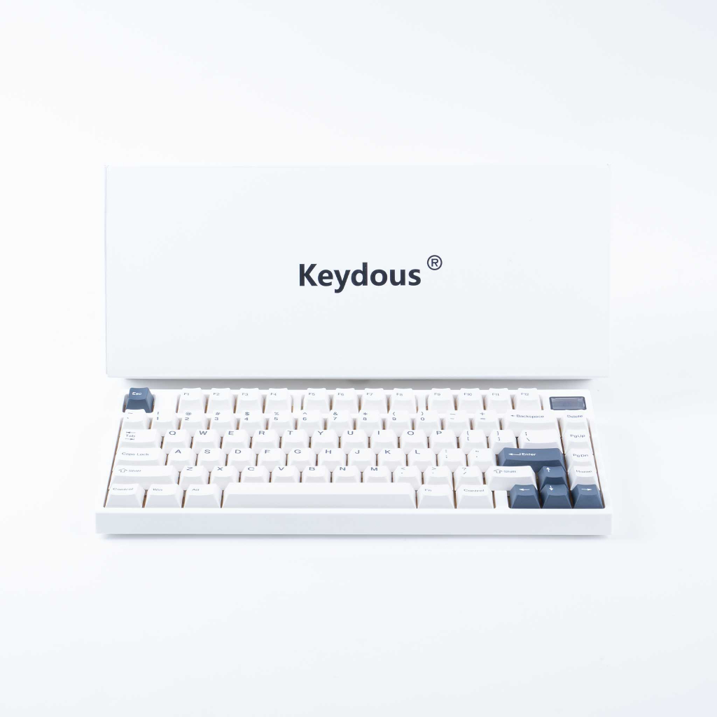 คีย์บอร์ด Keydous NJ81 White Moon Brass plate RGB 3 Mode Hotswap 2.4g ...