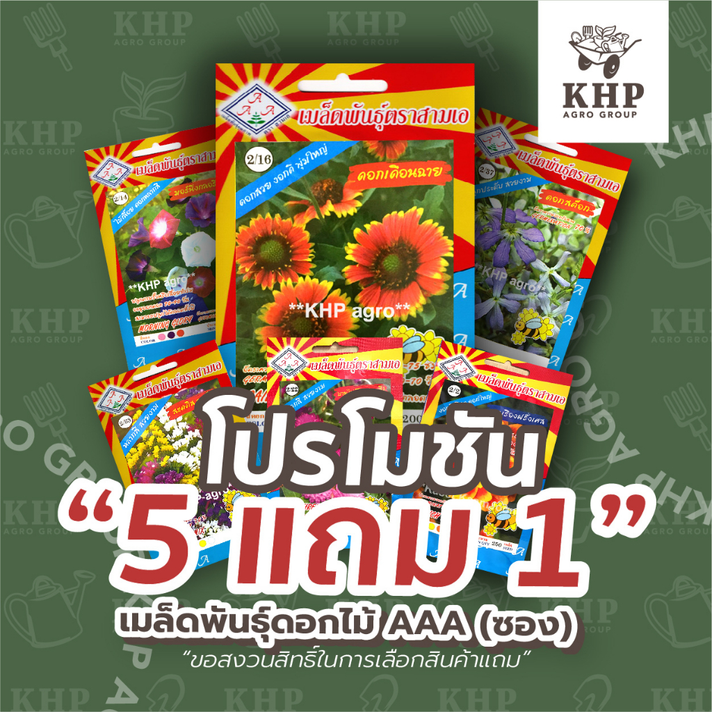 สินค้าแถมฟรี-เมล็ดพันธุ์ดอกไม้-ตรา-สามเอ-aaa-จำนวน-1-ซอง-สินค้าสมนาคุณห้ามจำหน่าย-ตามเงื่อนไขที่กำหนดเท่านั้น