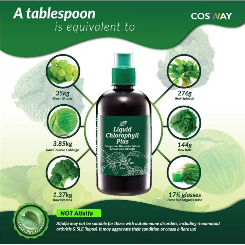 liquid-chlorophyll-plus-คลอโรฟิลล์-พลัส-ชนิดน้ำ-500-มล-ของแท้100-คลอโรฟิลล์คอสเวย์-ล้างสารพิษ-ต้านอนุมูลอิสระ