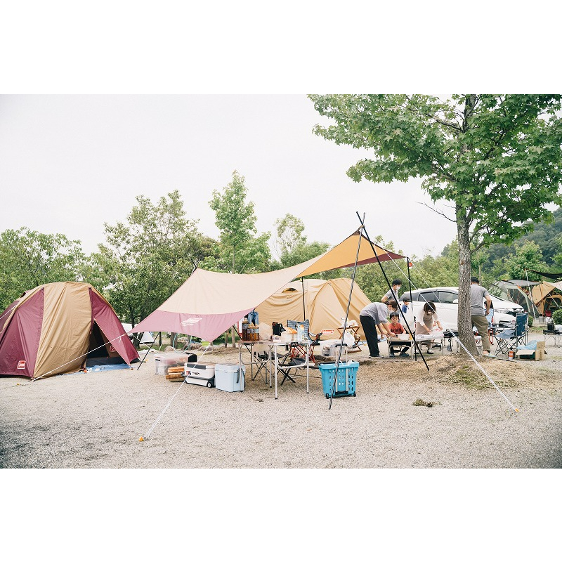 เต้นท์Coleman tarpแท้ญี่ปุ่น เต้นท์โคลแมน เต้นท์มือสอง Shopee Thailand