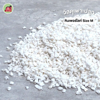 เพอร์ไลท์ (Perlite) 100 ลิตร เพอร์ไลต์ วัสดุเพาะปลูกพืช เพาะกล้า ค่าส่งถูก